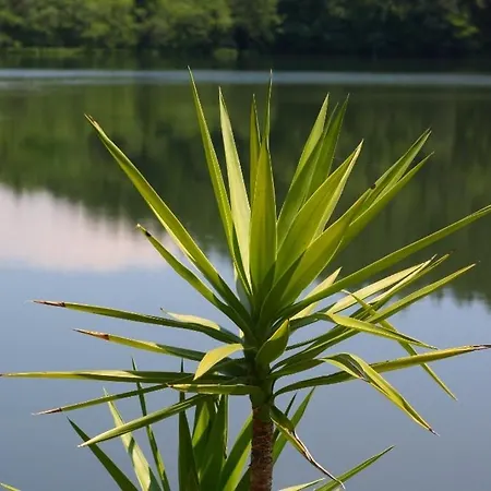 Buerger Penzion Schiefling am See