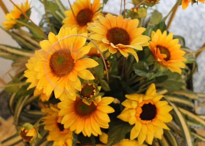 Buerger Pensjonat 3*