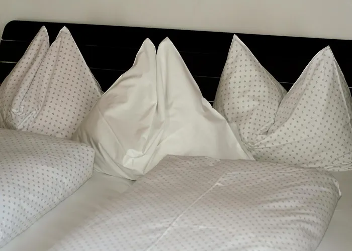 Buerger Pensjonat 3*